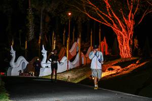 BIB: 
                            <button type="button" onclick="openModal(22511557)" class="btn btn-primary btn-sm float-right btn-popup" data-toggle="modal" data-target=".modal-high-quality">
                        <i class="fas fa-shopping-cart"></i> Add to Cart
                    </button>
                                            <button type="button" onclick="isThisMe(22511557, true)" class="btn btn-success btn-sm float-right btn-popup btn-isme hidden" data-toggle="tooltip" data-placement="bottom" title="นี่คือรูปของคุณใช่ไหม คลิกที่นี่เพื่อเอาเข้าอัลบั้ม">
                        <i class="fas fa-plus"></i> Add to album
                    </button>
                    <button type="button" onclick="isThisMe(22511557, false)" class="btn btn-warning btn-sm float-right btn-popup btn-isnotme hidden">
                        <i class="fas fa-ban"></i> Remove from album
                    </button>